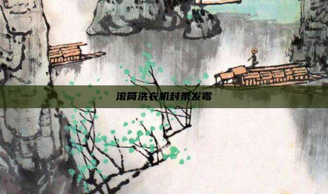 滚筒洗衣机封条发霉