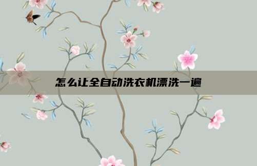 怎么让全自动洗衣机漂洗一遍