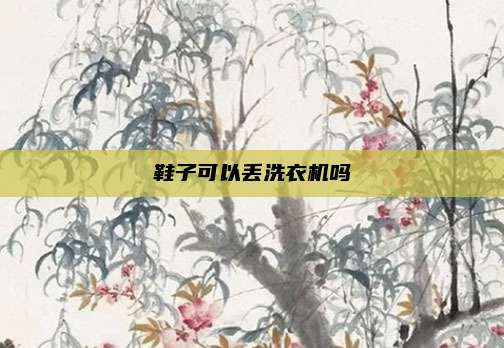 鞋子可以丢洗衣机吗