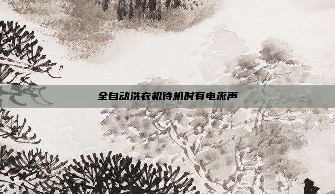 全自动洗衣机待机时有电流声