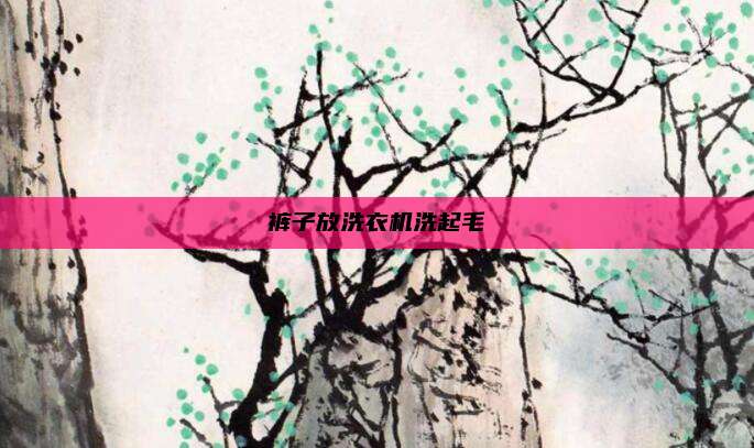 裤子放洗衣机洗起毛