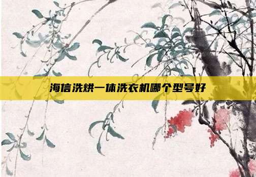 海信洗烘一体洗衣机哪个型号好