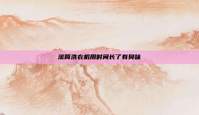 滚筒洗衣机用时间长了有臭味