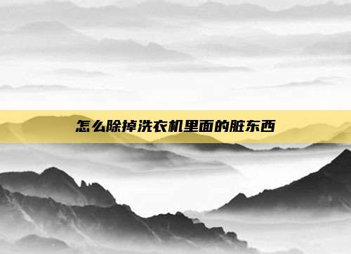 怎么除掉洗衣机里面的脏东西