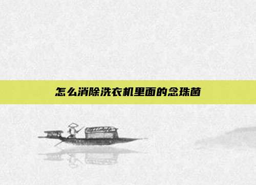 怎么消除洗衣机里面的念珠菌