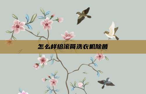怎么样给滚筒洗衣机除菌