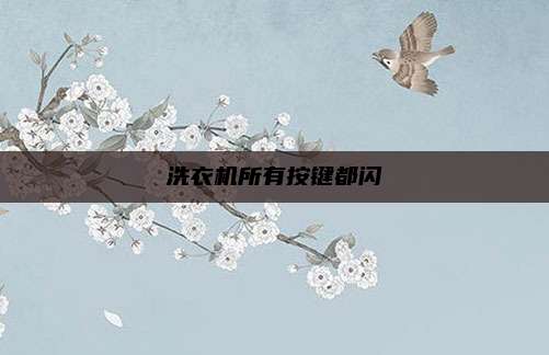 洗衣机所有按键都闪