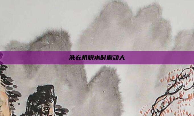 洗衣机脱水时震动大