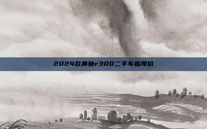 2024款奔驰r300二手车指导价