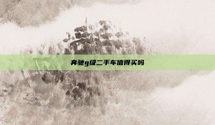 奔驰g级二手车值得买吗