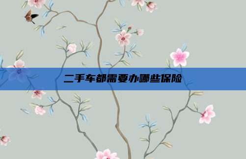 二手车都需要办哪些保险