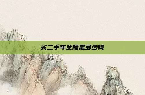 买二手车全险是多少钱
