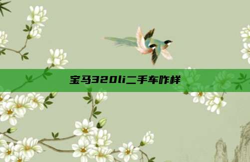 宝马320li二手车咋样