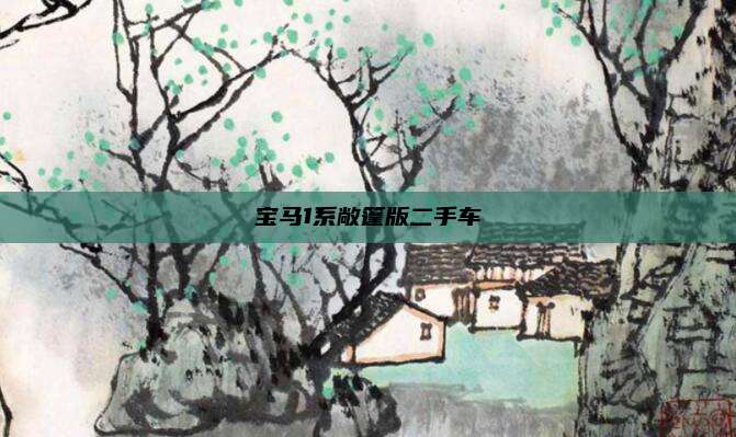 宝马1系敞篷版二手车
