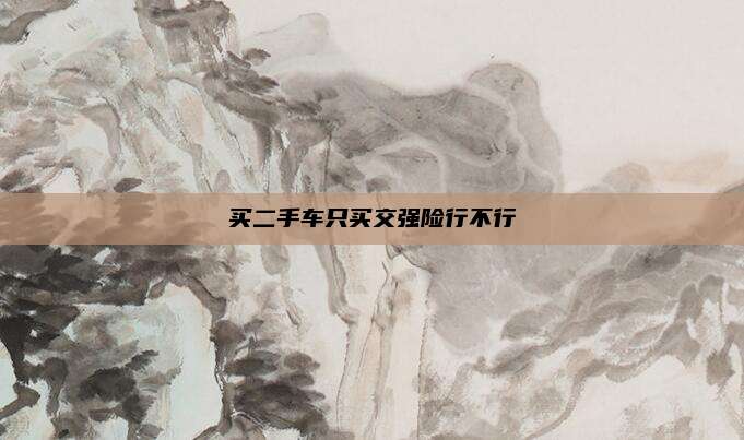 买二手车只买交强险行不行