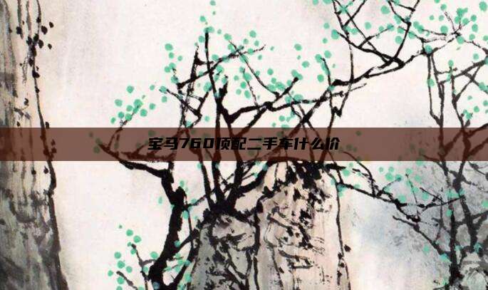 宝马760顶配二手车什么价