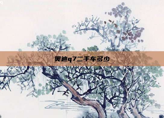 奥迪q7二手车多少