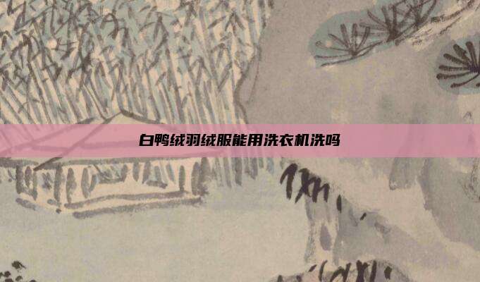 白鸭绒羽绒服能用洗衣机洗吗
