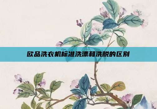 欧品洗衣机标准洗漂和洗脱的区别