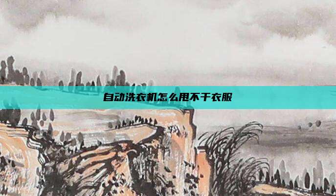 自动洗衣机怎么甩不干衣服