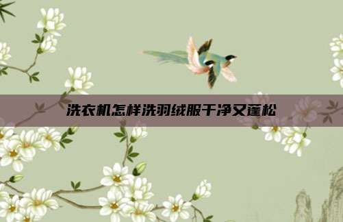 洗衣机怎样洗羽绒服干净又蓬松