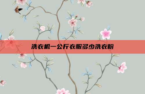 洗衣机一公斤衣服多少洗衣粉