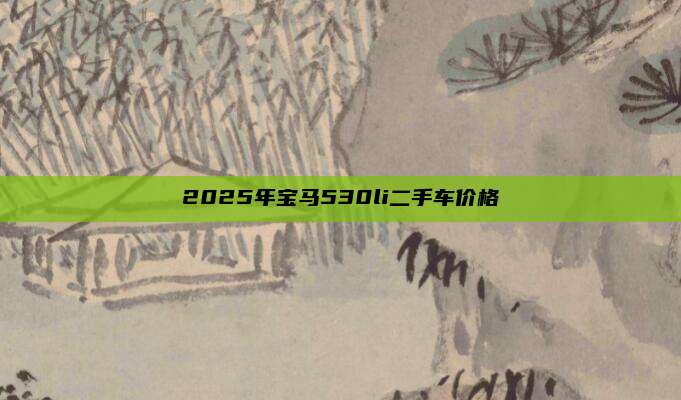 2025年宝马530li二手车价格