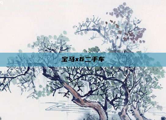 宝马x6二手车