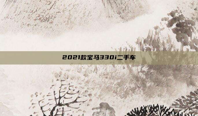 2021款宝马330i二手车