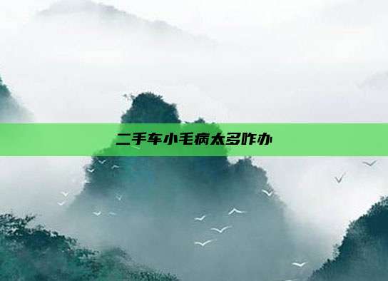 二手车小毛病太多咋办