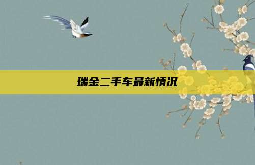 瑞金二手车最新情况