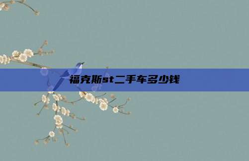福克斯st二手车多少钱