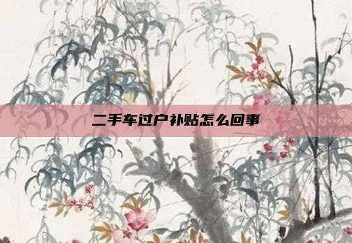 二手车过户补贴怎么回事