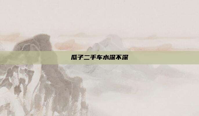 瓜子二手车水深不深