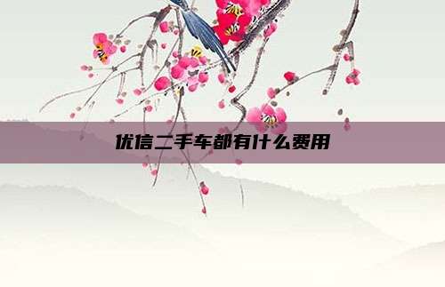 优信二手车都有什么费用