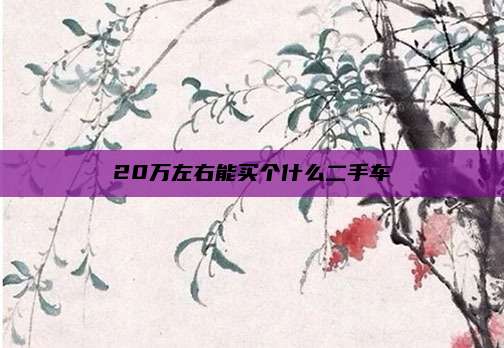 20万左右能买个什么二手车