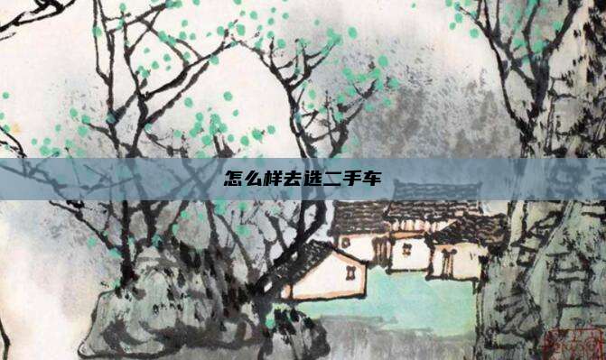 怎么样去选二手车
