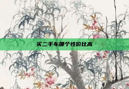 买二手车哪个性价比高