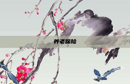 养老保险
