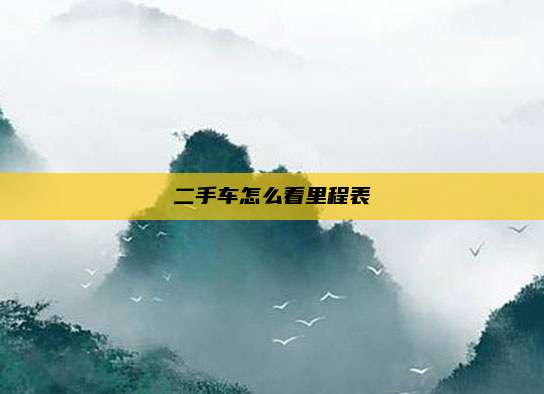 二手车怎么看里程表