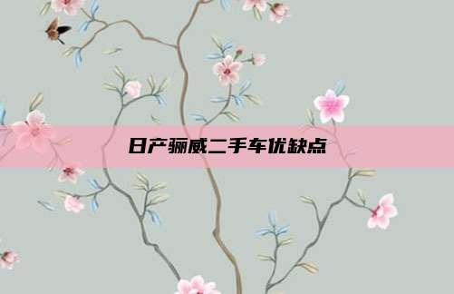 日产骊威二手车优缺点