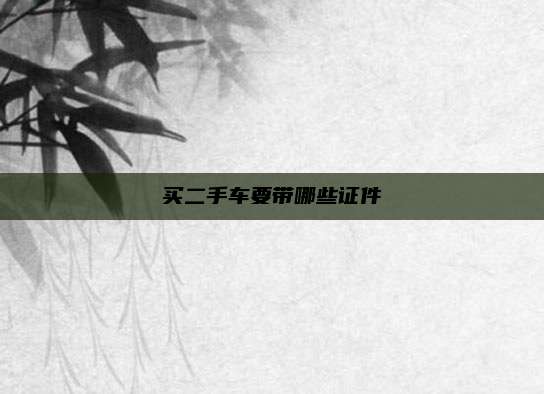买二手车要带哪些证件