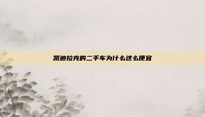 凯迪拉克的二手车为什么这么便宜