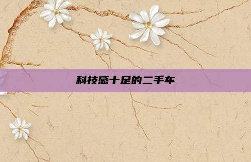 科技感十足的二手车