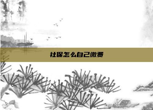 社保怎么自己缴费