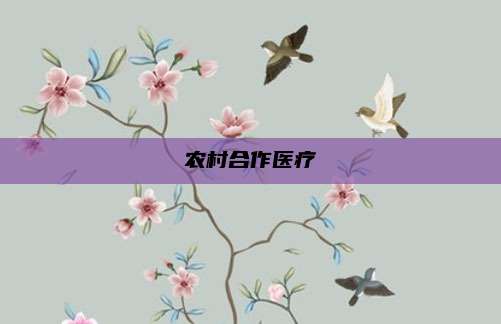 农村合作医疗