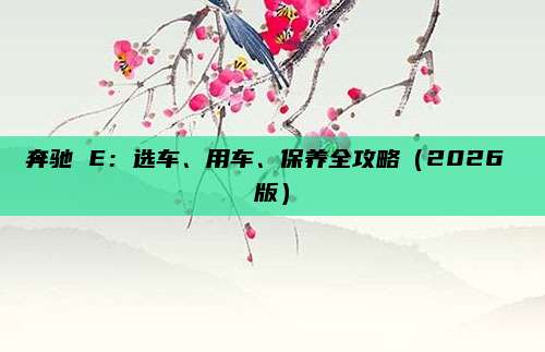 奔驰 E：选车、用车、保养全攻略（2026 版）