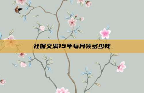 社保交满15年每月领多少钱