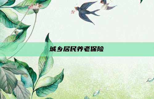 城乡居民养老保险